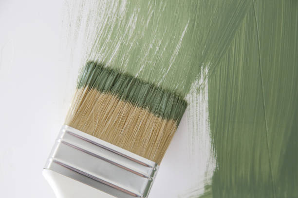  Las Cruces, NM Mold Removal Pros