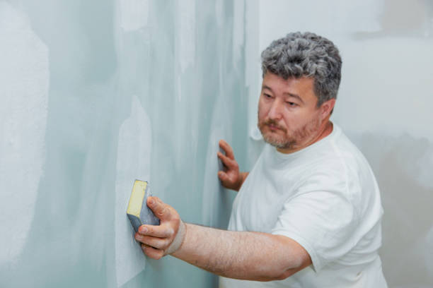 Best Basement Mold Removal  in Las Cruces, NM