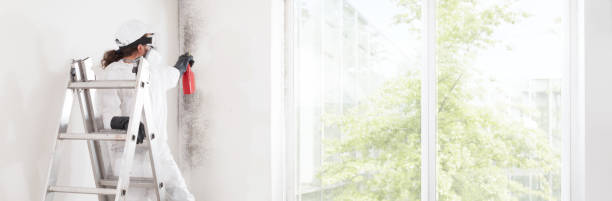 Best Residential Mold Inspection & Testing  in Las Cruces, NM